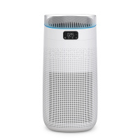 Smart Air Purifier