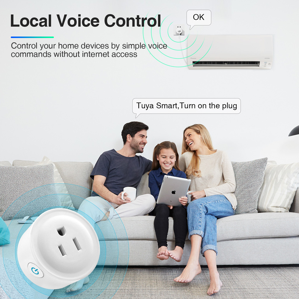 alexa local voice control