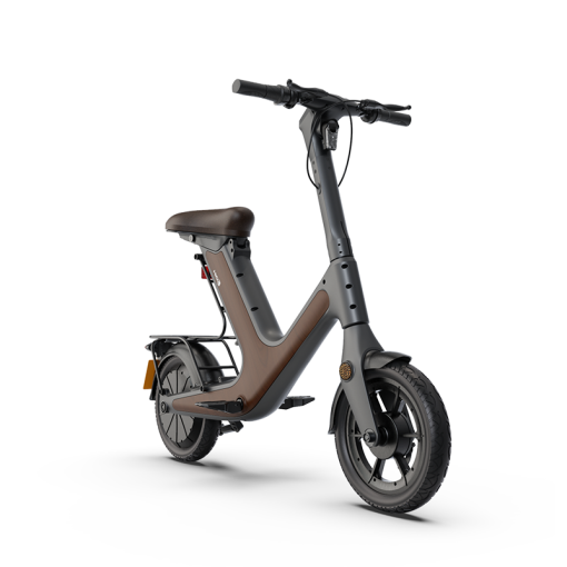 D50 Electric Bike