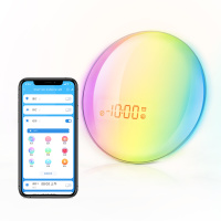 Smart Wake-up Light Pro