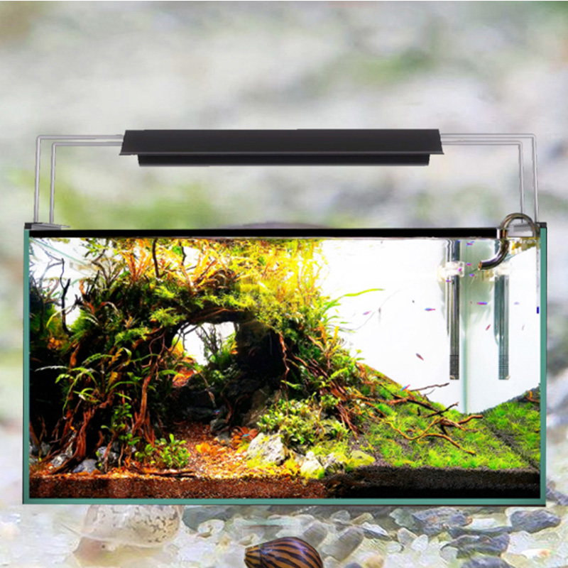 wrgb aquarium light