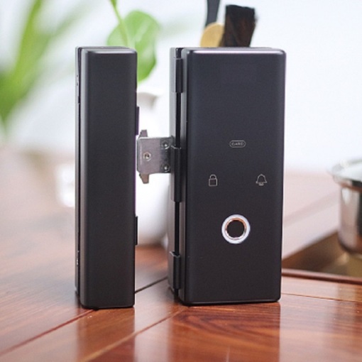 Smart Glass Door Lock