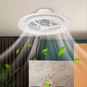 Smart Wi-Fi Ceiling Fan Light D550mm with White Color Ring for Room