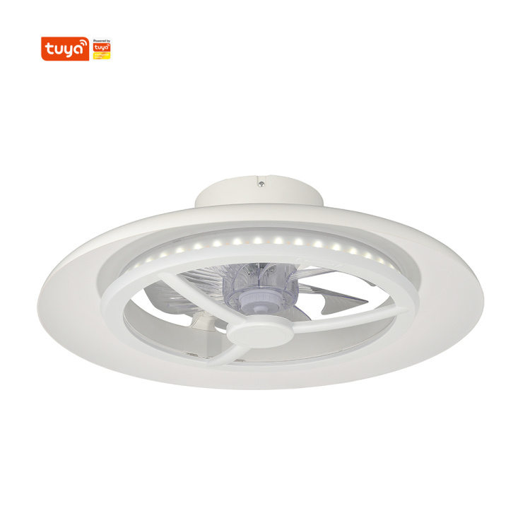 Smart Wi-Fi  RGBCW Ceiling Fan Light  D550mm With White Color Ring For Room