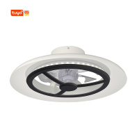 Smart Wi-Fi  RGBCW Ceiling Fan Light  D550mm With Black Paint Ring For Room
