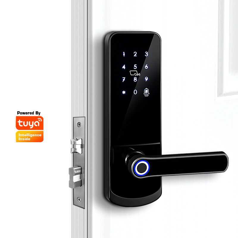 Wifi Fingerprint Lock Smart Electronic Door Lock for Apartment