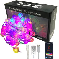 Smart String Lights 50 LED 16ft with Remote, USB Powered Multicolor Changing Fairy Ball Christmas Light  
