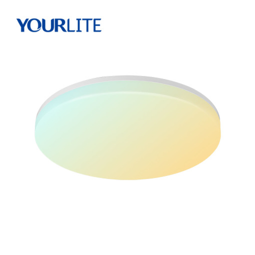 Smart Wi-Fi Ceiling lights CCT&Dimmable IP54 Waterproof IK08 15W 18W 24W