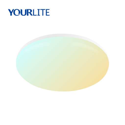 Smart Wi-Fi Ceiling lights CCT Adjustable Dimmable 18W 24W 30W 36W IP64 Waterproof IK08