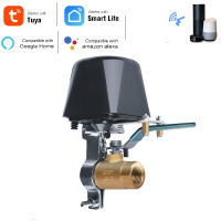 RSH TUYA WiFi Smart Gas/Valve Tuya Valve Smart Home Automation Control Valve for Gas Work with Alexa Google Assistant