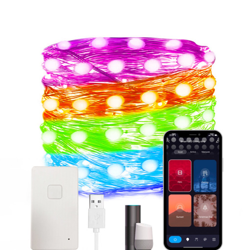 Smart LED String Light