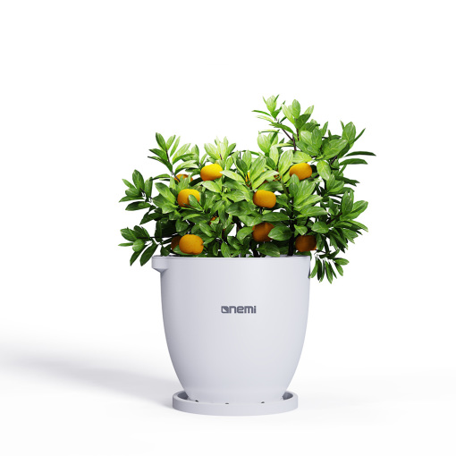 Onemi smart pot