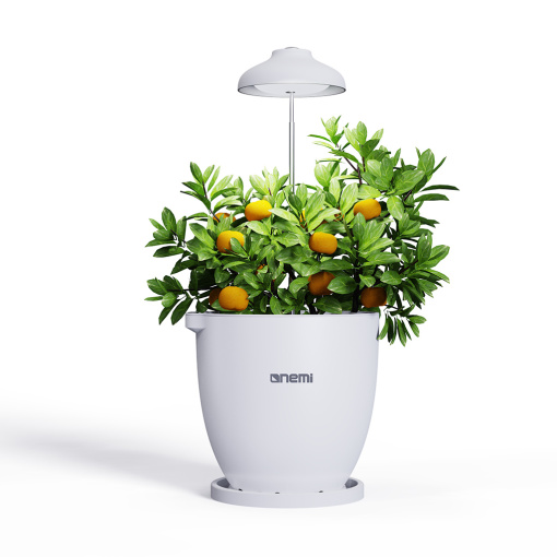Onemi smart pot(Grow lights version)