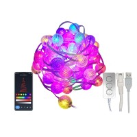 Fairy Smart Ball String Lights RGBIC USB Bluetooth with Timer and Remote, Music Sync Modes Light for Christmas Trees