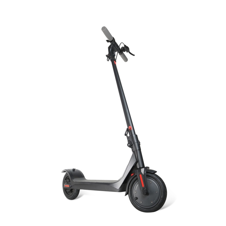 Ridingtimes Electric Scooter For Adult 350W 10ah Battery