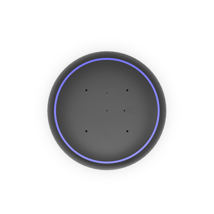 Echo dot ir store blaster