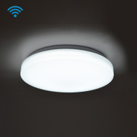 Ceiling Lamp CW 36W