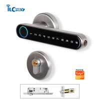 iLockey Security Outdoor Wifi Biometric Fingerprint Smart Entry Mortise Door Lock for Home Apartment