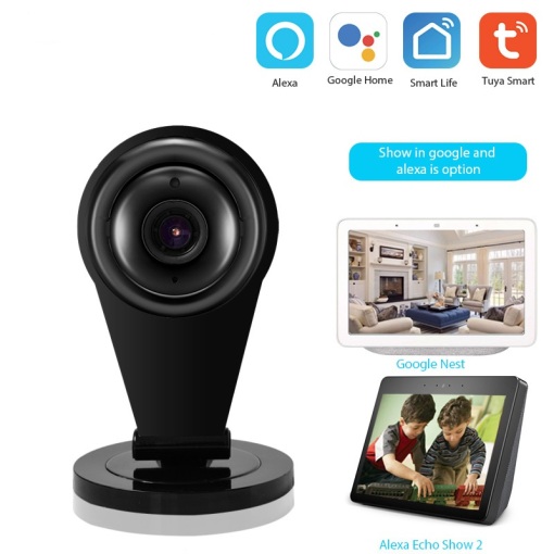 Smart Indoor Camera