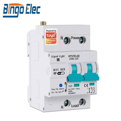 Bingoelec Wi-Fi Circuit Breaker 2P 80A 220V