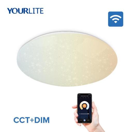 Multifunctional RGBW Color CCT Adjustable Wi-Fi Smart LED Ceiling Light