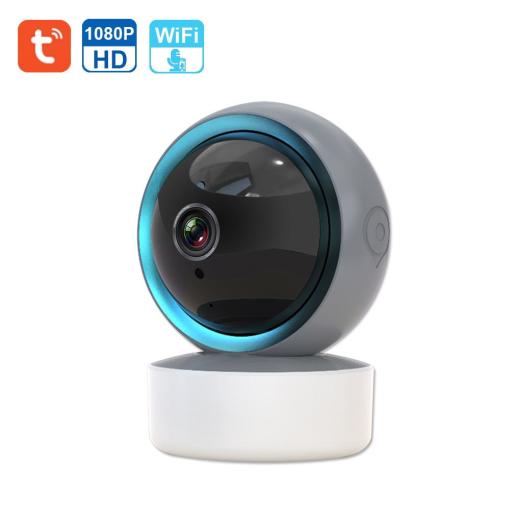Motion Detection WIFI Ptz Dome Tuya Cloud Camcorder Home Live Streaming Wall Mini Video Network Camera For Baby Pet