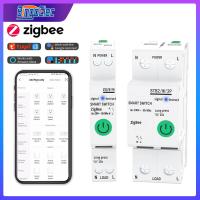 Bingoelec Zigbee Recloser Smart Switch