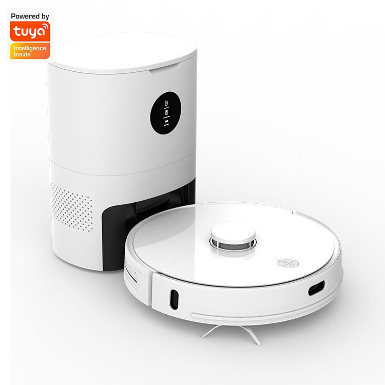 Smart sales robotic home