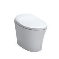 Pure White Electronic Bidet Toilet