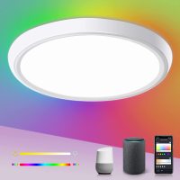 50W Wi-Fi Smart Music Sync RGBCW Round Superbright Living Room Bedroom Ceiling Lamp Compatible with Alexa Google Home