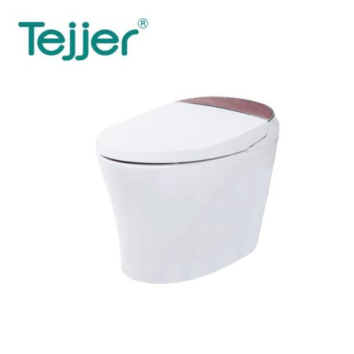 Tejjer White and Black Sanitary Ware Automatic Toilet Set Smart WC