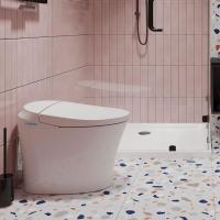 Tejjer Automatic Flush Sterilizer Smart Ceramic Toilet Intelligent Water Spray