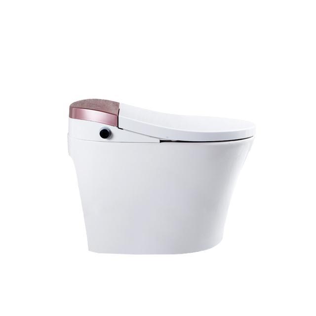 TEJJER Easy Operation Old People Smart Toilet Bidet Bowl with Auto