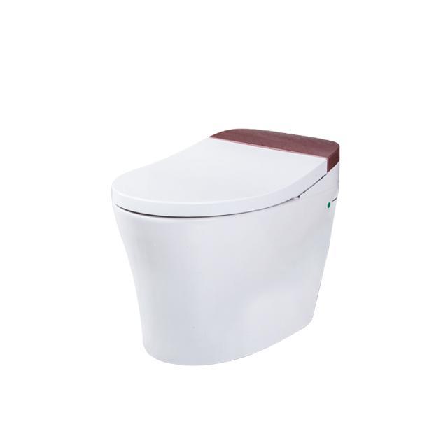 TEJJER Easy Operation Old People Smart Toilet Bidet Bowl with Auto