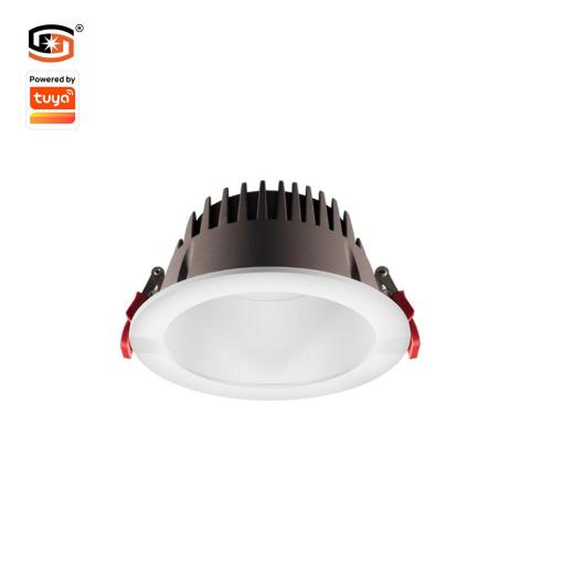 24W Tuya Bluetooth Downlight