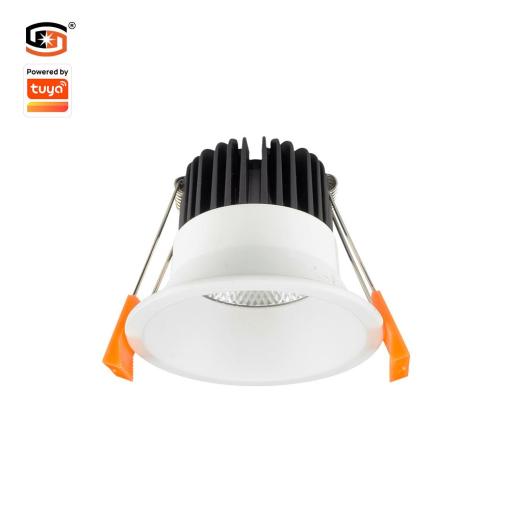 12W CCT Dimmable Tuya Bluetooth Spot Light