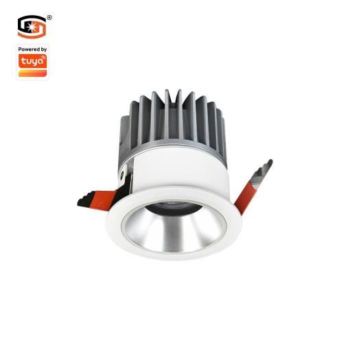 7W Tuya Zigbee Spotlight IP65