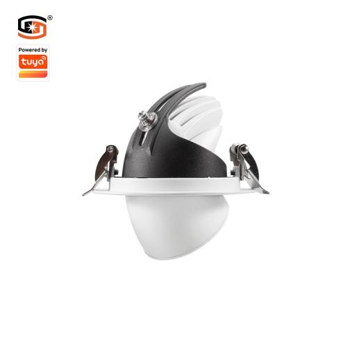 30W Tuya Bluetooth Spotlight