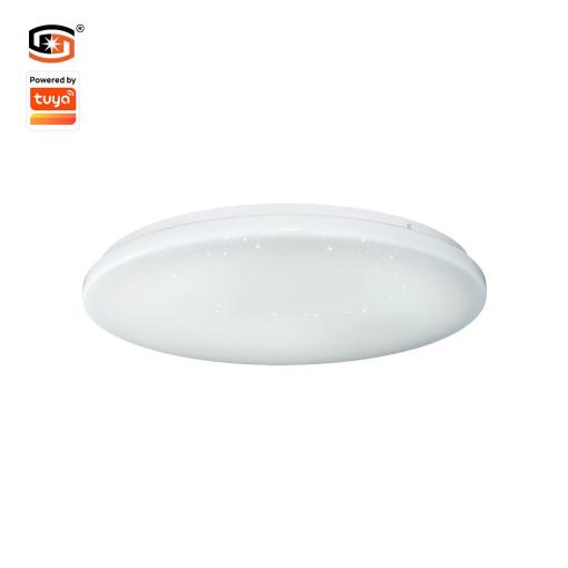 10W Tuya Beacon Ceiling light