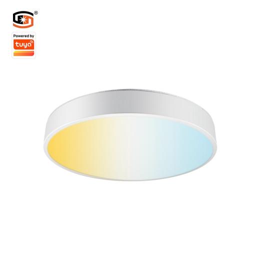36W Tuya Bluetooth Ceiling light