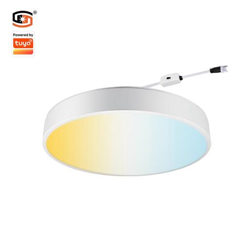 40W Tuya Bluetooth Ceiling light