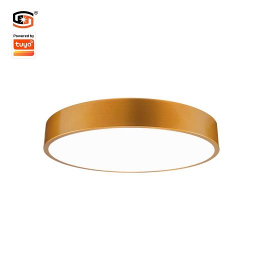 48W Tuya Bluetooth Ceiling light