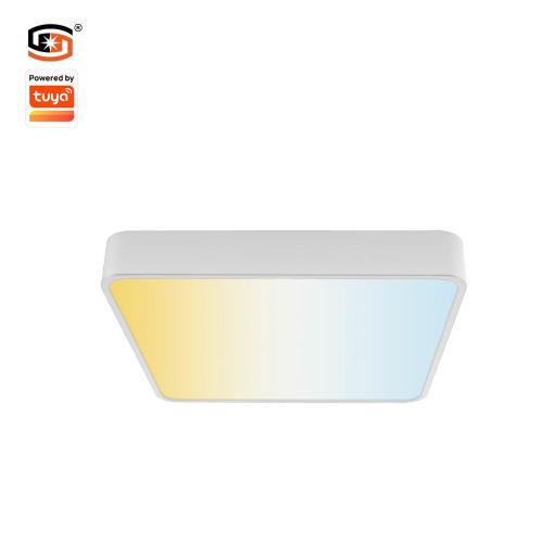 48W Tuya Wifi Ceiling light