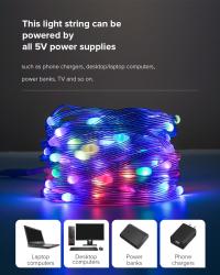 Daybetter LED fairy string light  tuya Wi-Fi & BLE RGBIC 5V USB IP67 5M dream color APP control   Alexa voice control 