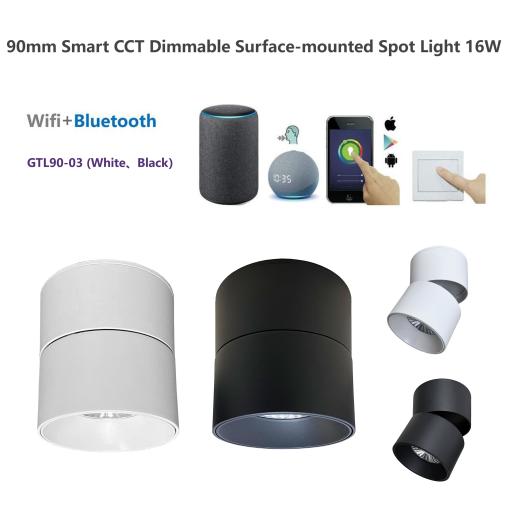16W Smart CCT Dimmable Surface Mounted Spot Light D90mm
