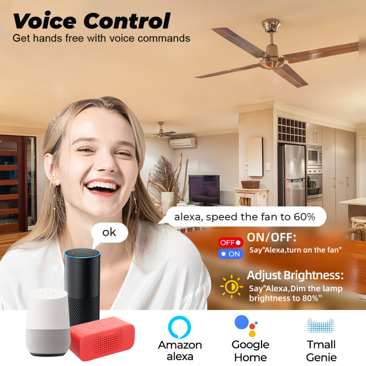 WiFi Smart Ceiling Fan Light Wall Switch,Smart Life/Tuya APP Remote Va –  Funshion Lab