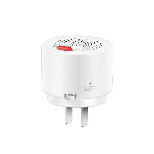 Tuya Smart Gas Leak Carbon Monoxide Detector Wifi Lpg Natural Ch4 Methane Flammable Leakage Coal Alarm Sensor Plug in