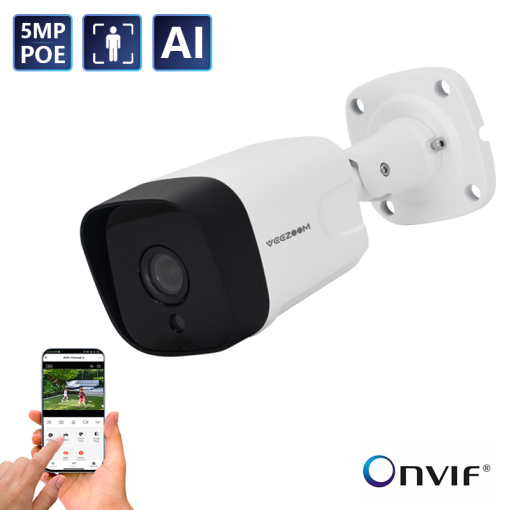 5MP/4MP/2MP PoE AI Camera