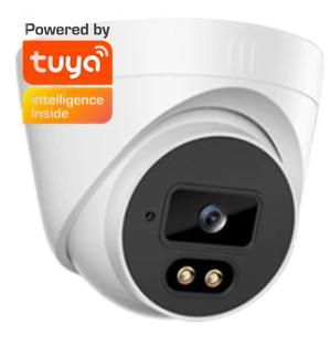 Metal Tuya Smart APP Indoor 2MP/3MP/5MP Onvif POE WIFI IP Dome Network Camera Security Camera Wireless