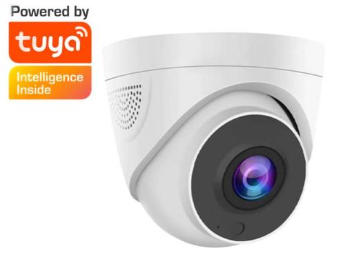 Plastic Tuya Smart POE WIFI ONVIF 2MP/3MP/5MP Ip Camera Cctv Security Surveillance Cameras Dome humanoid detectio Audio